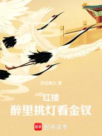 红楼：醉里挑灯看金钗