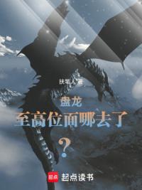 盘龙：规矩我来定，谁反对？